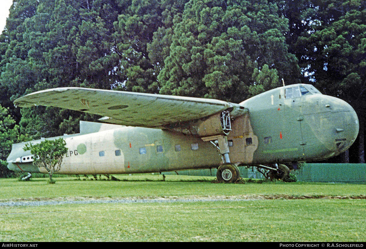 Aircraft Photo of ZK-EPG | Bristol 170 Freighter Mk31M | AirHistory.net #28624