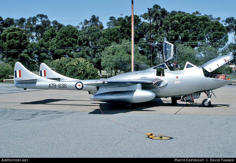 Aircraft Photo of VH-HLF / A79-636 | De Havilland D.H. 115 Vampire T55 | Australia - Air Force | AirHistory.net #29162