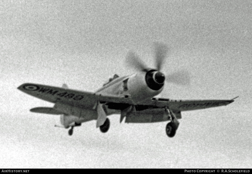Aircraft Photo of WM489 | Hawker Sea Fury FB11 | UK - Navy | AirHistory.net #31258