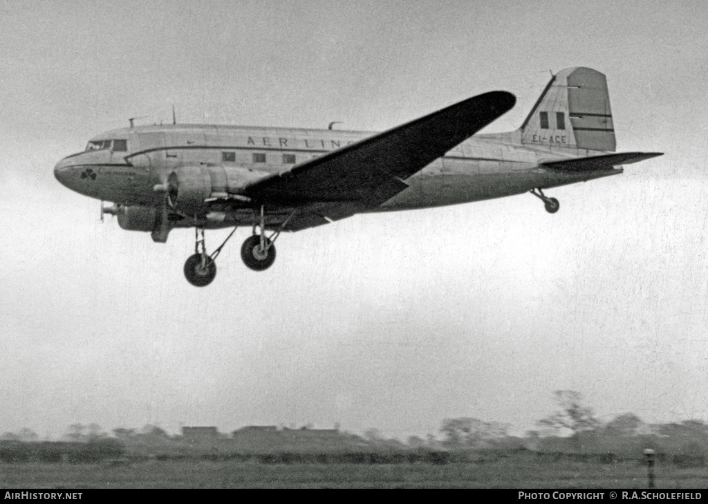 Aircraft Photo of EI-ACE | Douglas DC-3D | Aer Lingus | AirHistory.net #31860