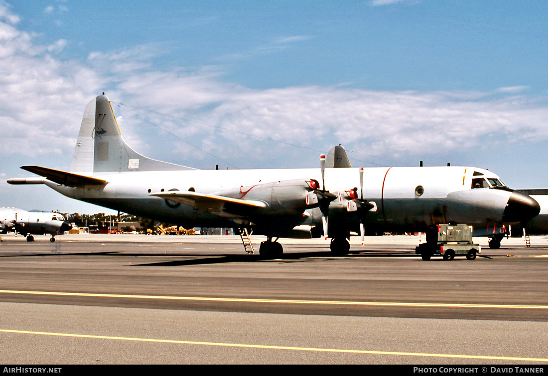 Aircraft Photo of A9-751 | Lockheed P-3C Orion | Australia - Air Force | AirHistory.net #31988