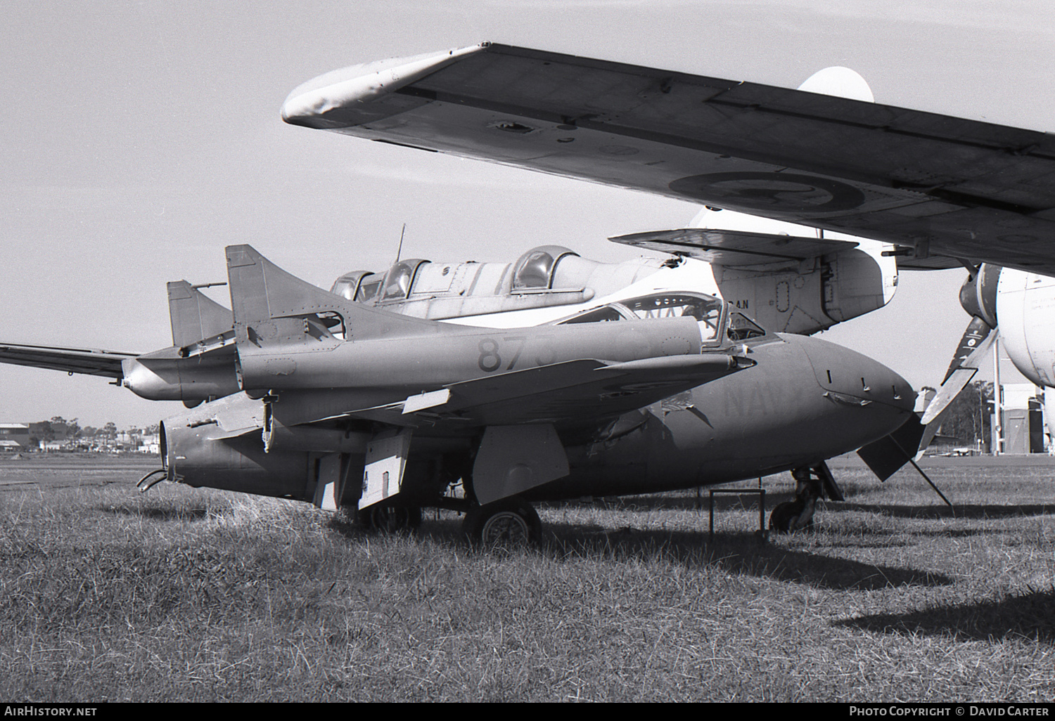 Aircraft Photo of XA101 | De Havilland D.H. 115 Sea Vampire T22 | Australia - Navy | AirHistory.net #35701