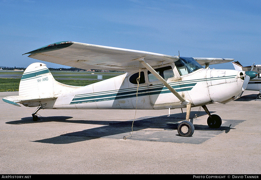 Aircraft Photo of VH-AMO | Cessna 170B | AirHistory.net #35747