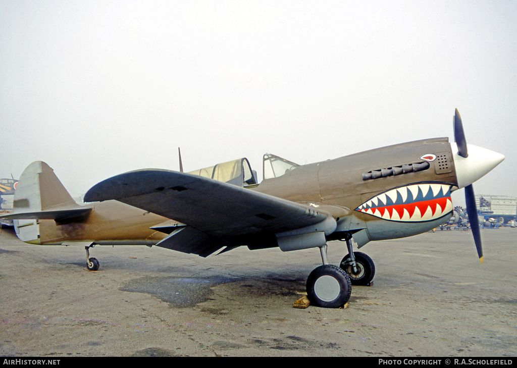 Aircraft Photo of N1197N | Curtiss P-40N Warhawk | AirHistory.net #36226