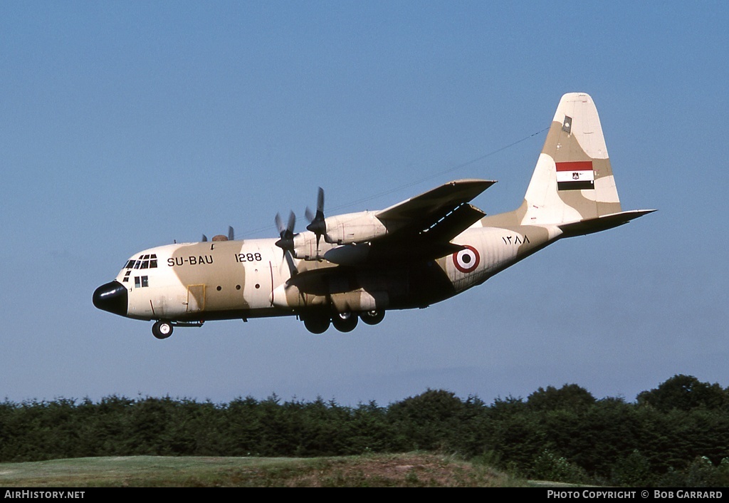 Aircraft Photo of 1288 / ۱۲۸۸ | Lockheed C-130H Hercules | Egypt - Air Force | AirHistory.net #36415