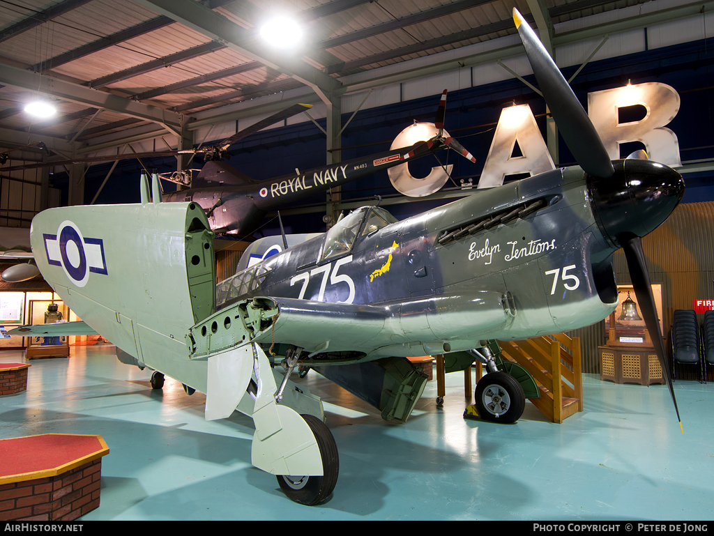 Aircraft Photo of Z2033 | Fairey Firefly TT1 | UK - Navy | AirHistory.net #37656