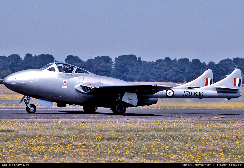 Aircraft Photo of VH-HLF / A79-636 | De Havilland D.H. 115 Vampire T55 | Australia - Air Force | AirHistory.net #39372