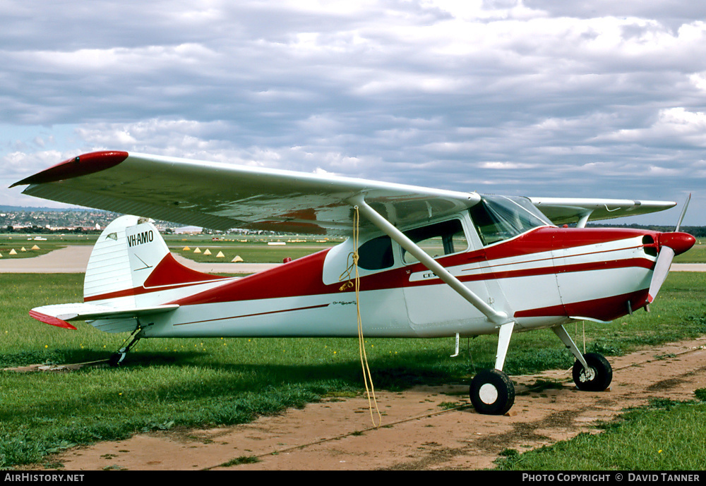 Aircraft Photo of VH-AMO | Cessna 170B | AirHistory.net #40074