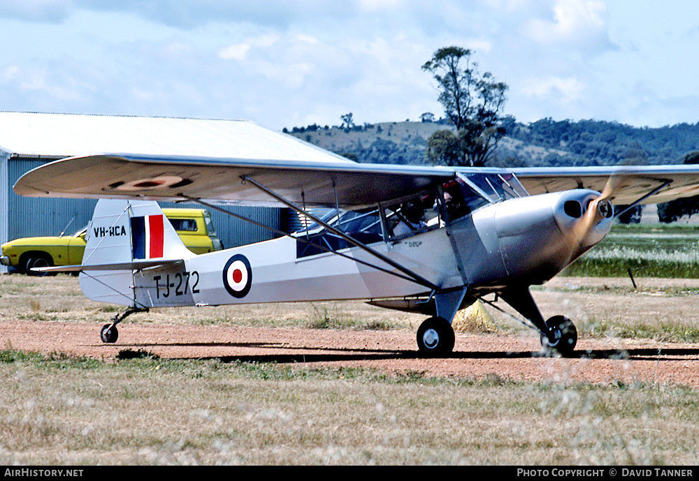 Aircraft Photo of VH-RCA / TJ272 | Taylorcraft J Auster Mk5 | UK - Air Force | AirHistory.net #40099