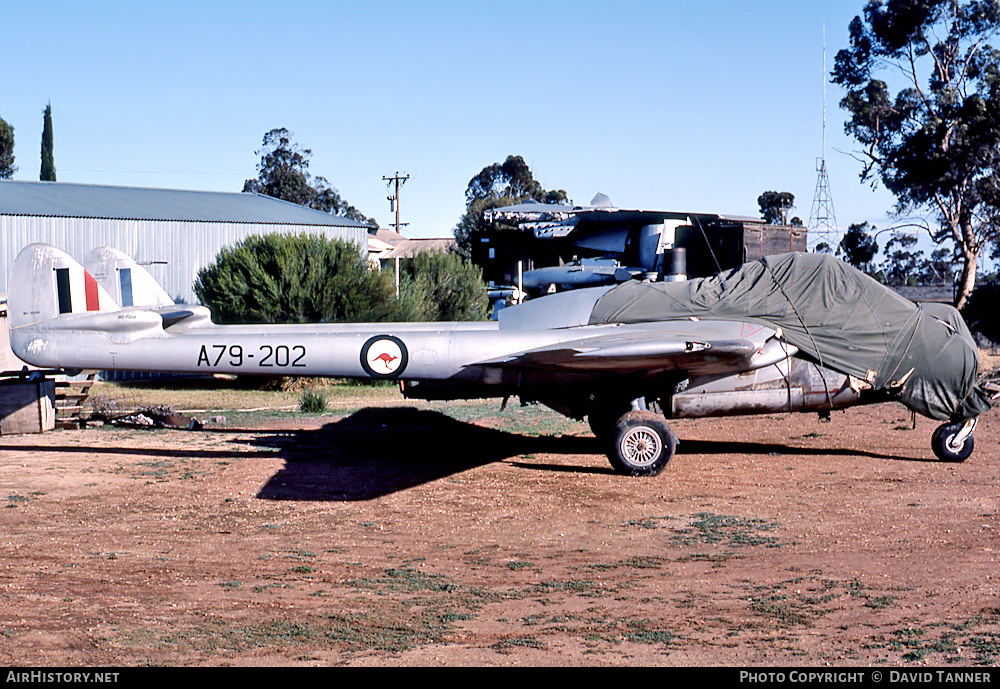 Aircraft Photo of A79-202 | De Havilland D.H. 100 Vampire FB31 | Australia - Air Force | AirHistory.net #40550