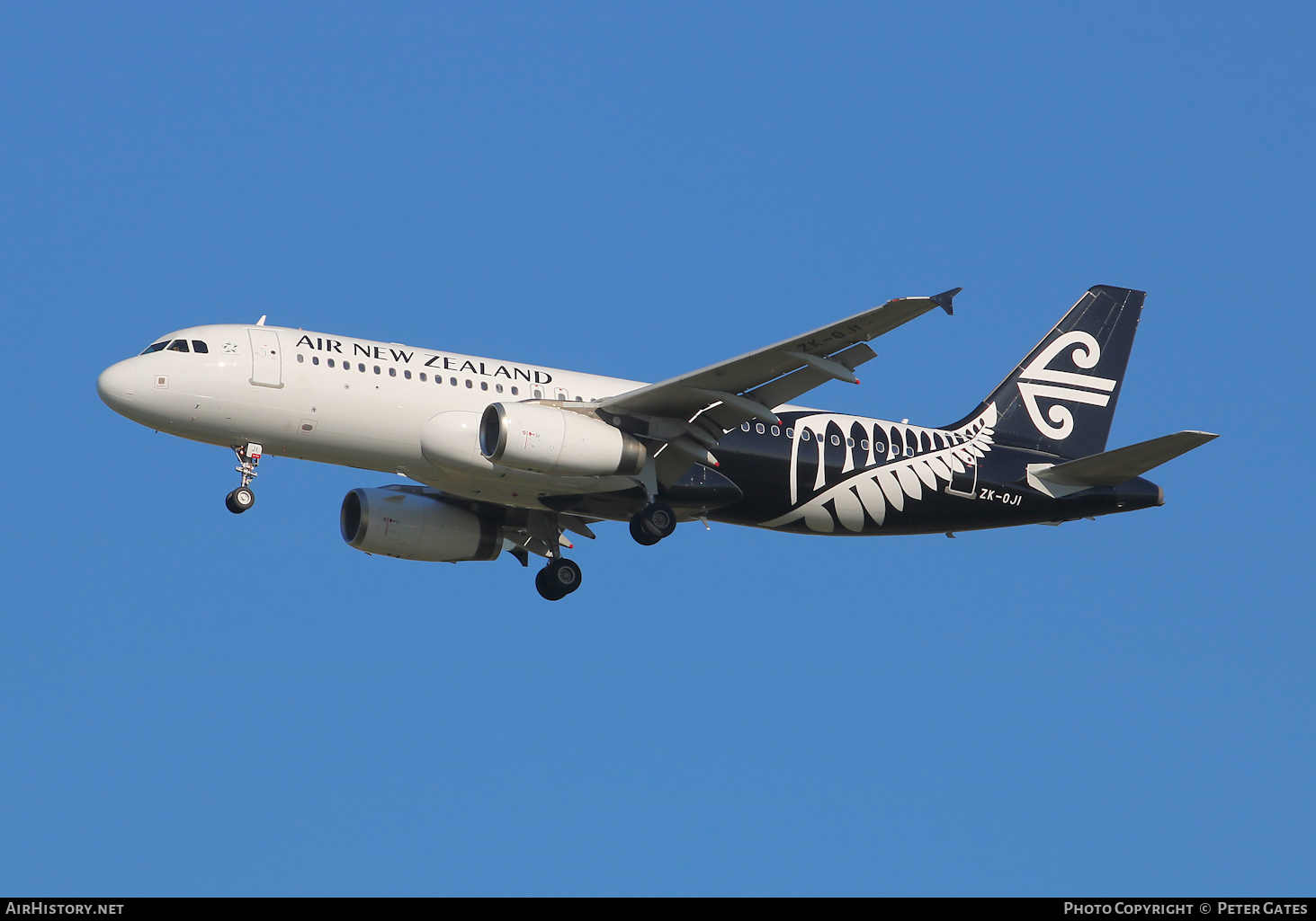 Aircraft Photo of ZK-OJI | Airbus A320-232 | Air New Zealand | AirHistory.net #41242