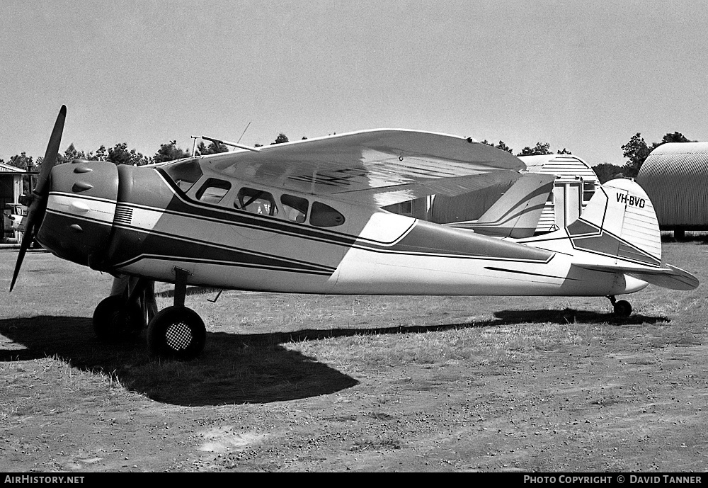 Aircraft Photo of VH-BVD | Cessna 195 | AirHistory.net #42437