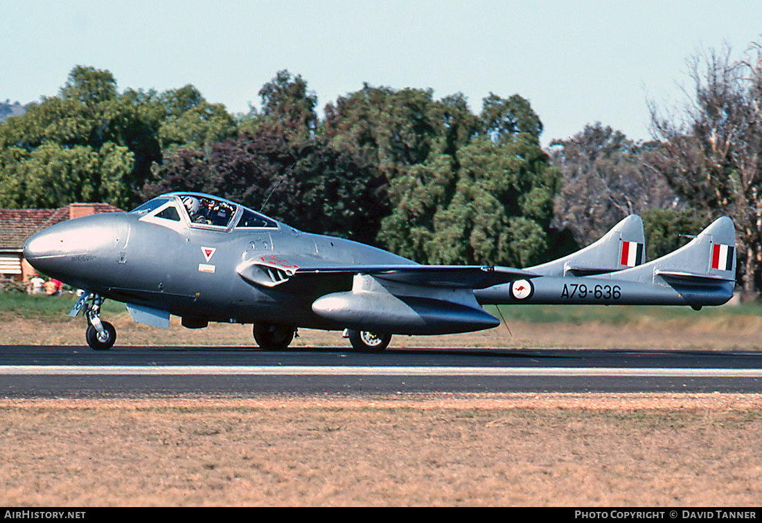 Aircraft Photo of VH-HLF / A79-636 | De Havilland D.H. 115 Vampire T55 | Australia - Air Force | AirHistory.net #42626