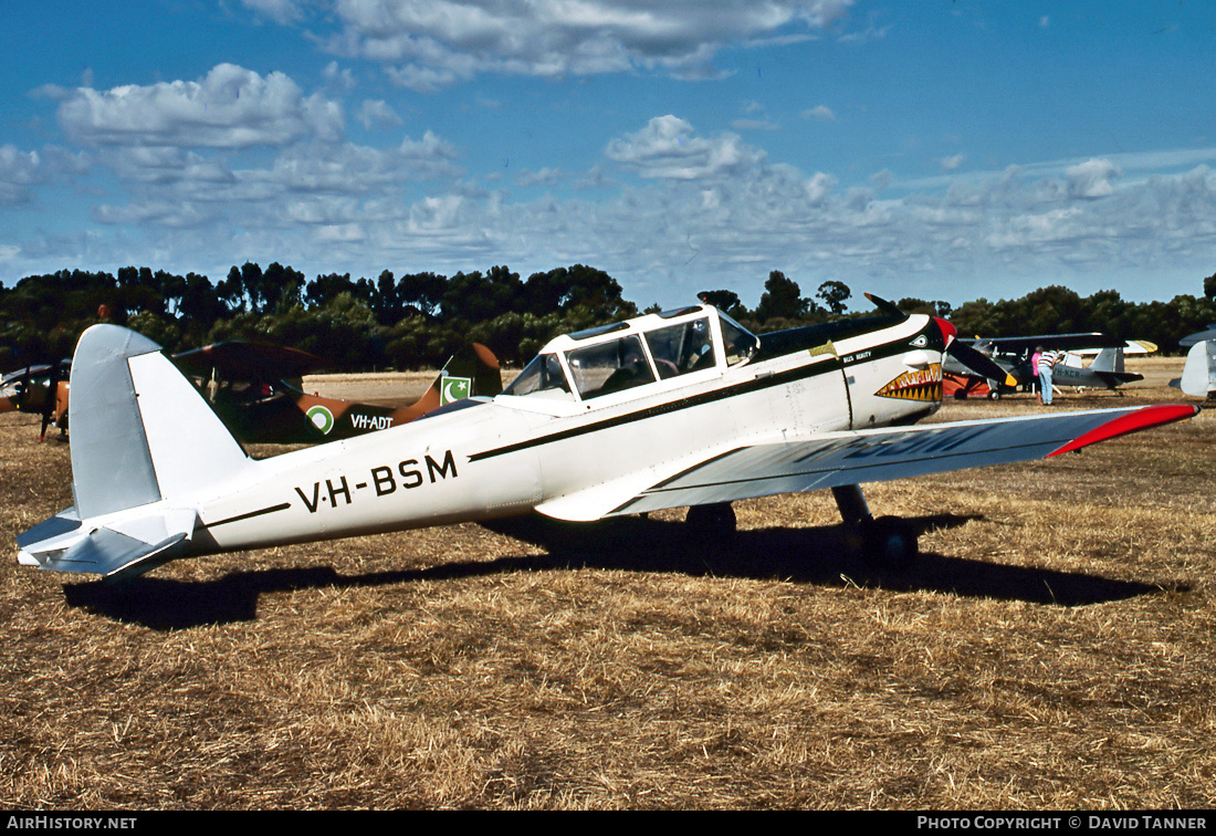 Aircraft Photo of VH-BSM | De Havilland DHC-1 Chipmunk T10 | AirHistory.net #42639