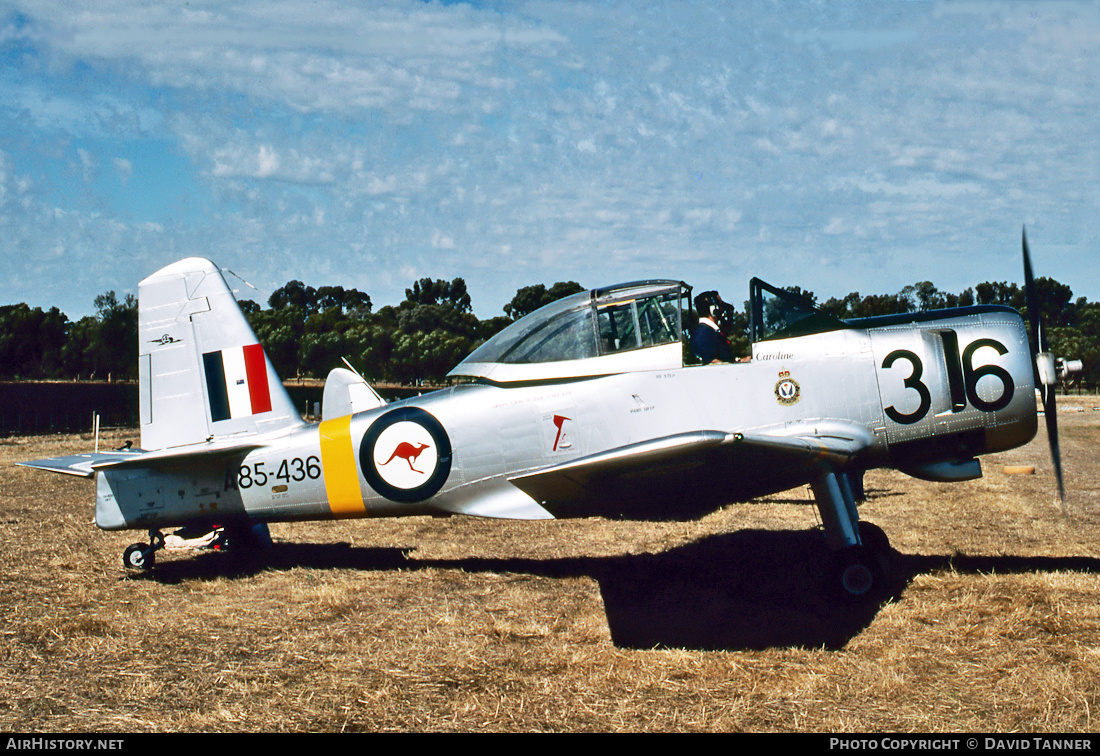 Aircraft Photo of VH-WIJ / A85-436 | Commonwealth CA-25 Winjeel | Australia - Air Force | AirHistory.net #45131