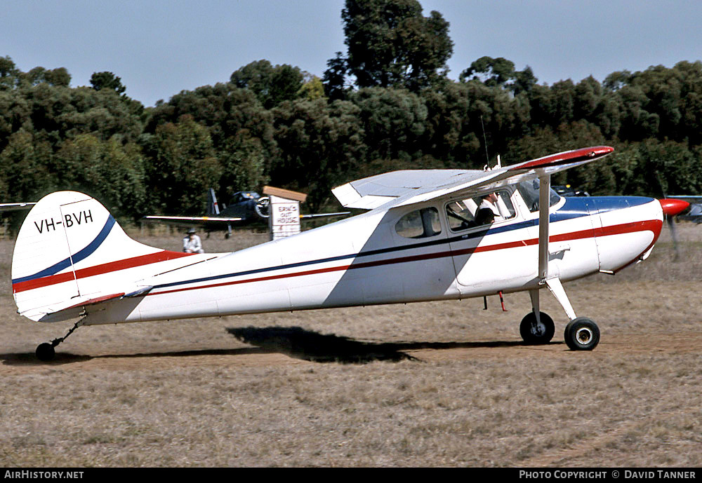 Aircraft Photo of VH-BVH | Cessna 170B | AirHistory.net #46098