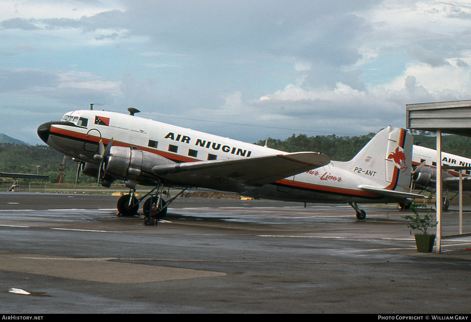 Aircraft Photo of P2-ANT | Douglas DC-3(C) | Air Niugini | AirHistory.net #47157