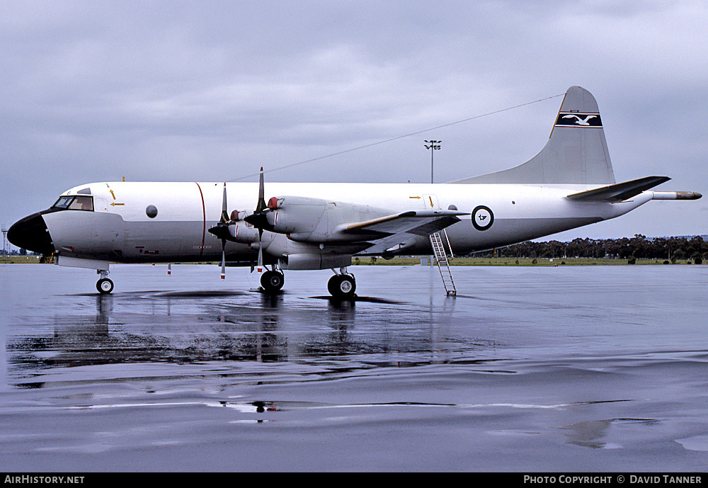 Aircraft Photo of A9-605 | Lockheed P-3B Orion | Australia - Air Force | AirHistory.net #47388