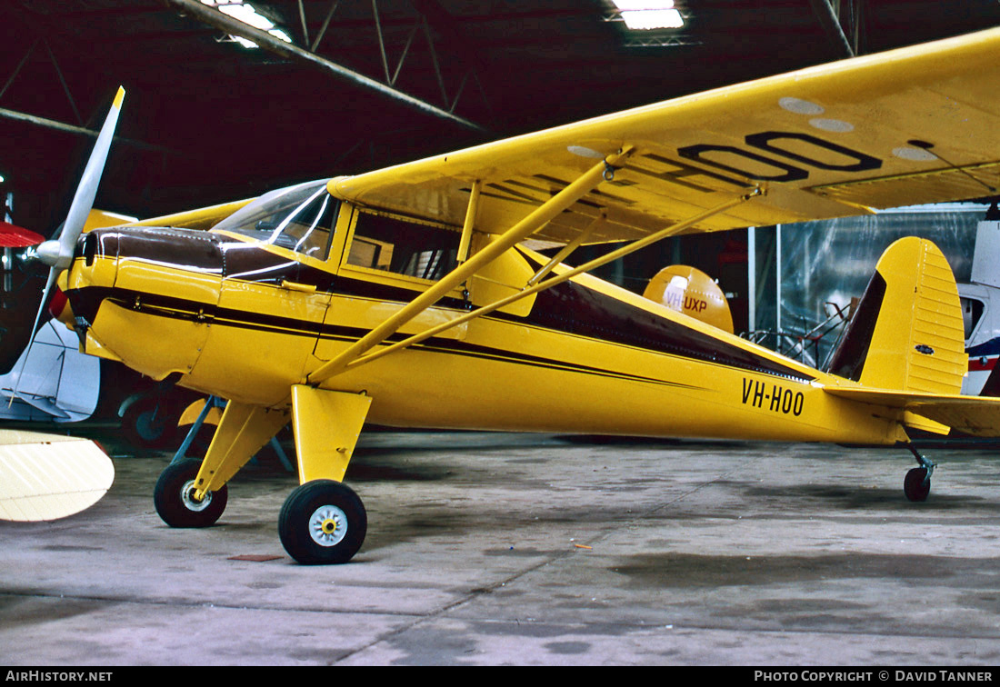 Aircraft Photo of VH-HOO | Luscombe 8A Silvaire | AirHistory.net #51086