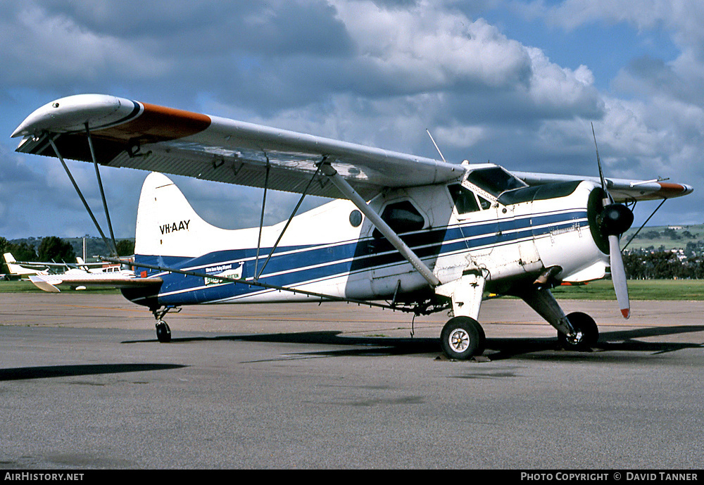 Aircraft Photo of VH-AAY | De Havilland Canada DHC-2 Beaver Mk1 | Super Spread Aviation | AirHistory.net #52496