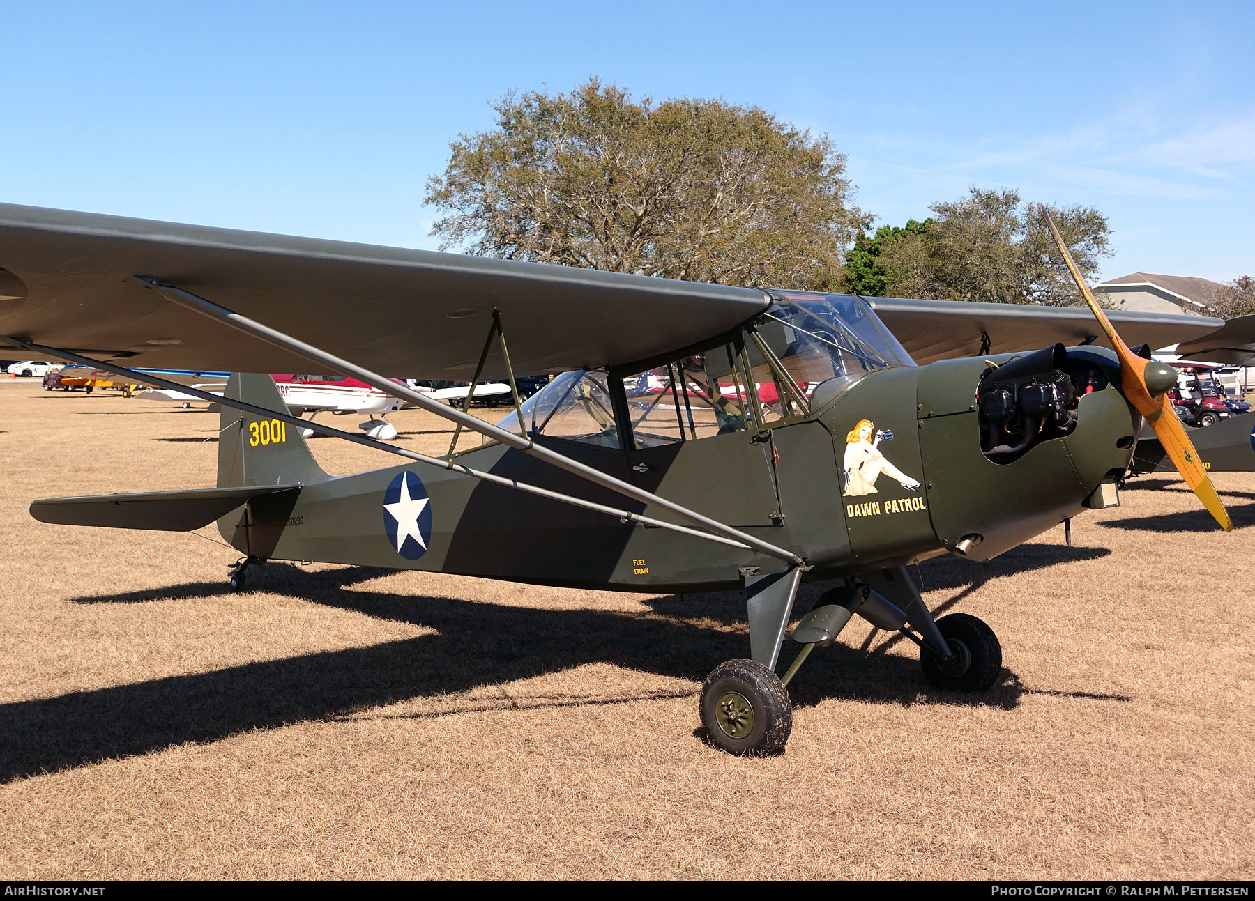 Aircraft Photo of N50290 / 43-001 | Taylorcraft DCO-65 | USA - Air Force | AirHistory.net #52838