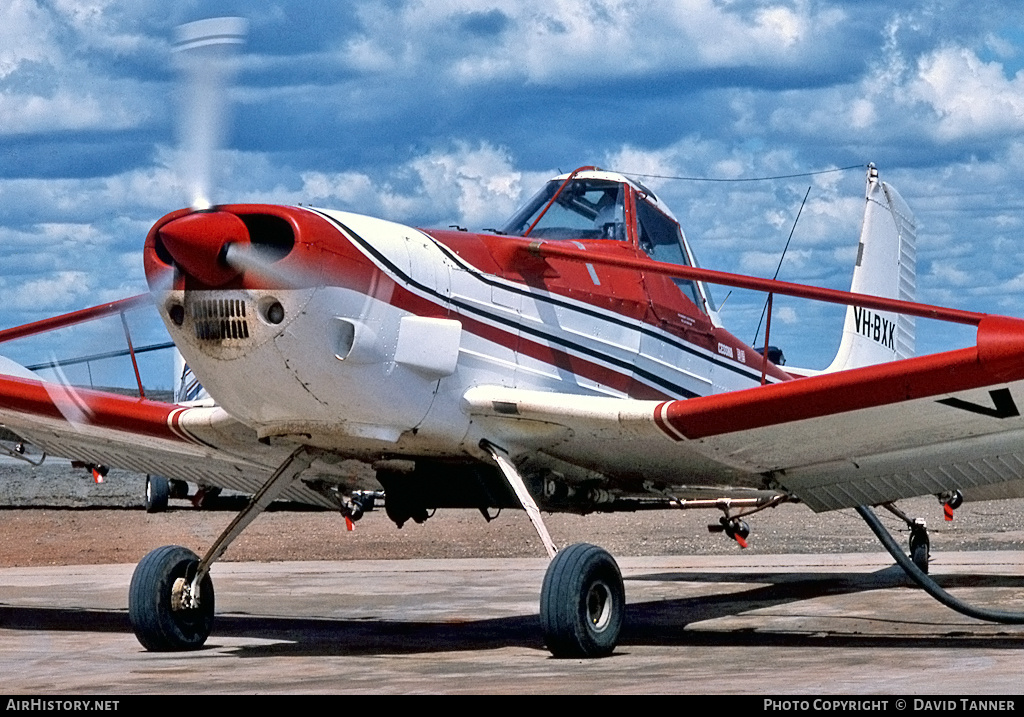 Aircraft Photo of VH-BXK | Cessna T188C Ag Husky | AirHistory.net #52939
