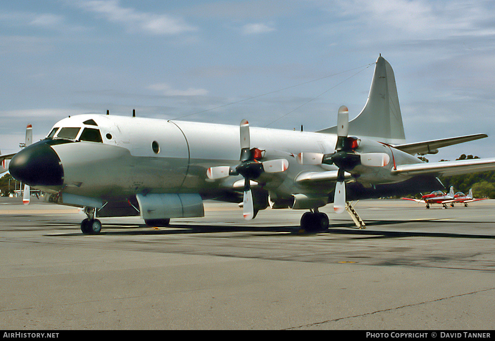 Aircraft Photo of A9-663 | Lockheed P-3C Orion | Australia - Air Force | AirHistory.net #54121