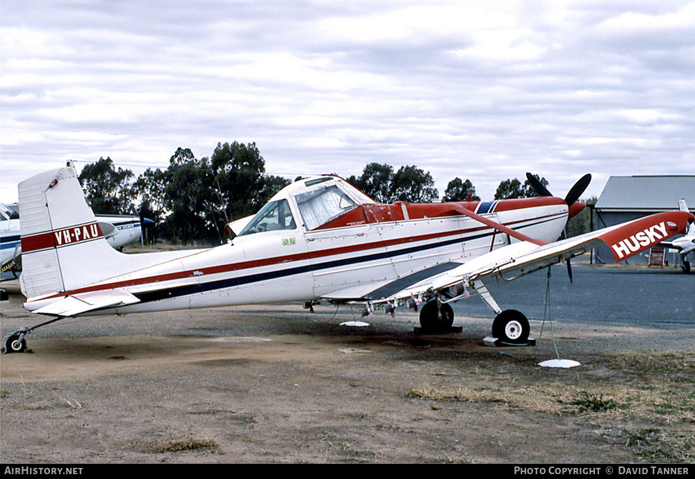 Aircraft Photo of VH-PAU | Cessna T188C Ag Husky | AirHistory.net #54376