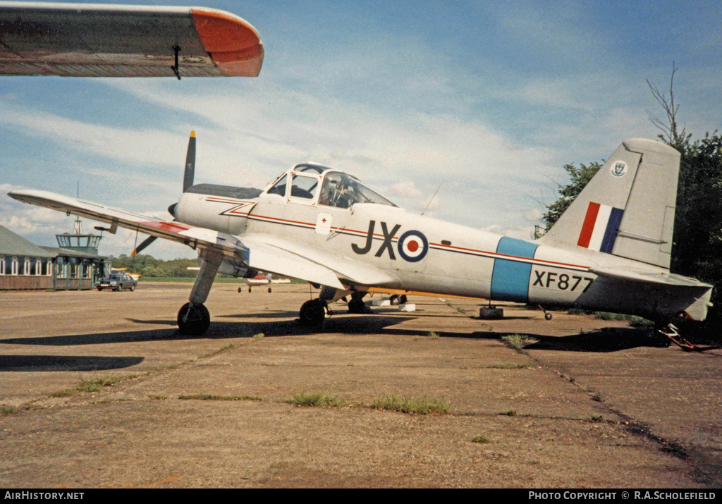 Aircraft Photo of G-AWVF / XF877 | Percival P.56 Provost T1 | AirHistory.net #54411