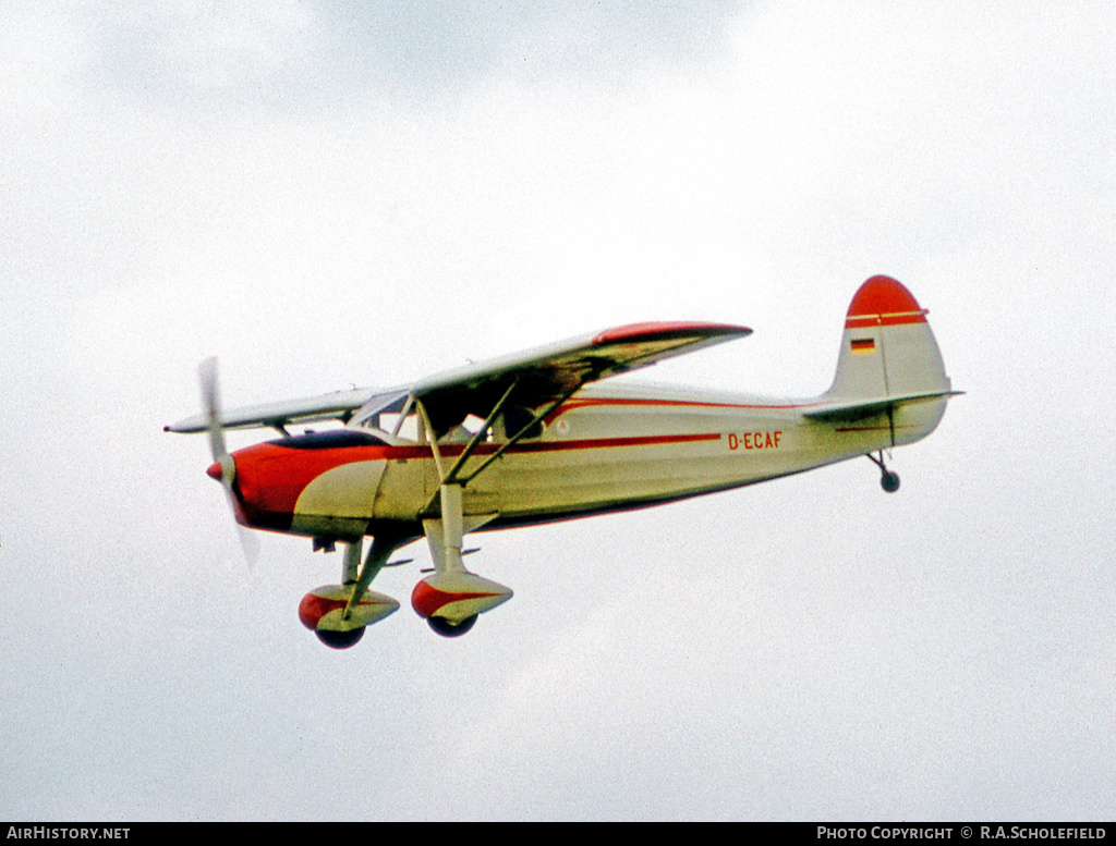 Aircraft Photo of D-ECAF | Fairchild 24H | AirHistory.net #54684