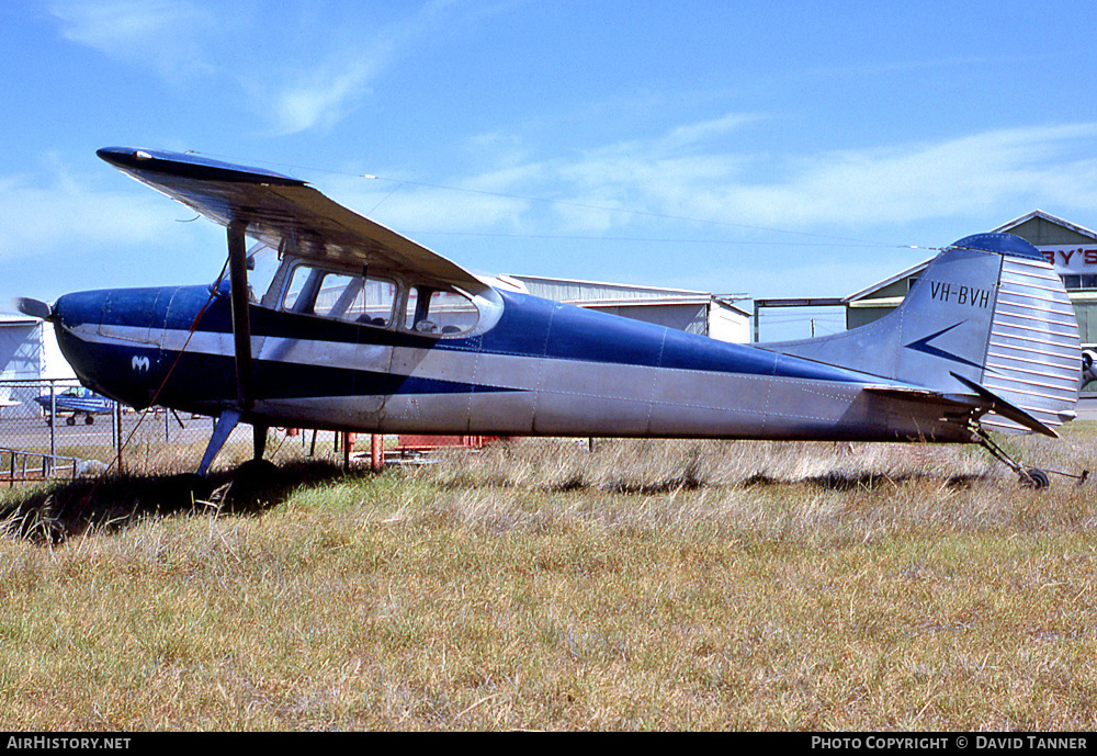 Aircraft Photo of VH-BVH | Cessna 170B | AirHistory.net #55455