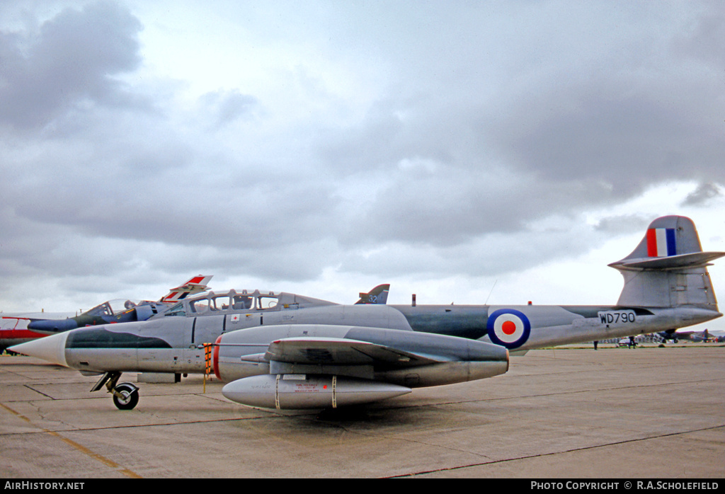 Aircraft Photo of WD790 | Gloster Meteor NF11 (Mod) | UK - Air Force | AirHistory.net #58386