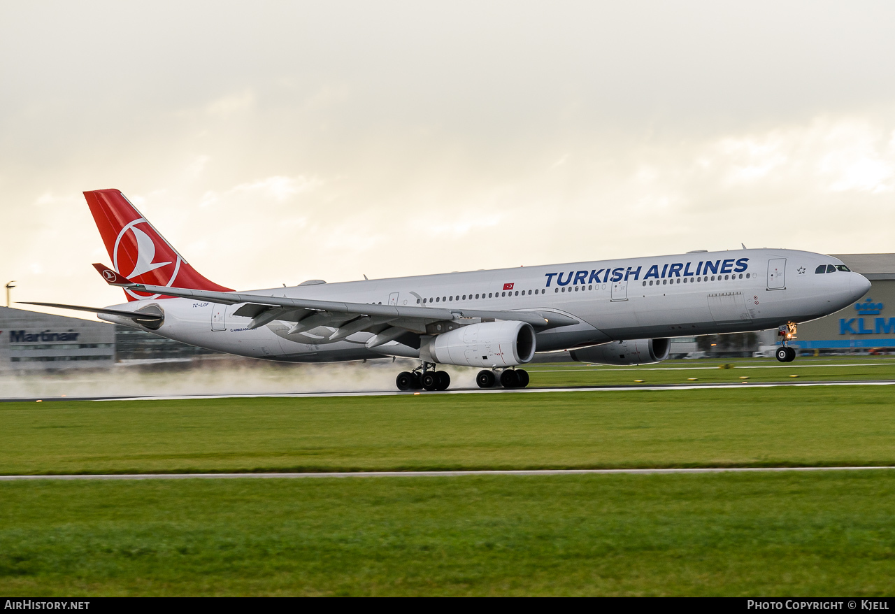 Aircraft Photo of TC-LOF | Airbus A330-343E | Turkish Airlines | AirHistory.net #58698