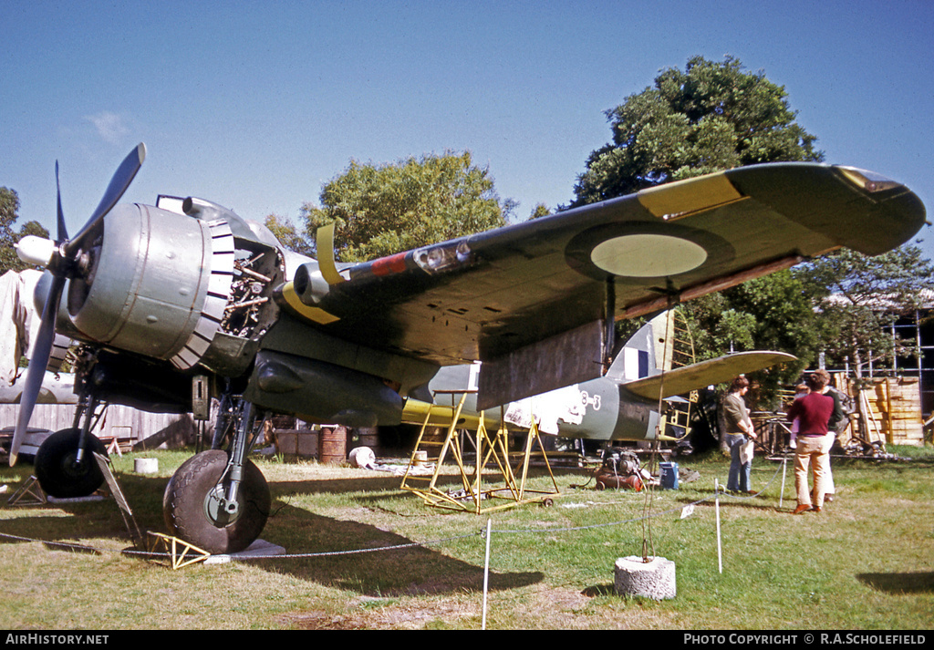 Aircraft Photo of A8-328 | Bristol 156 Beaufighter Mk21 | Australia - Air Force | AirHistory.net #59785
