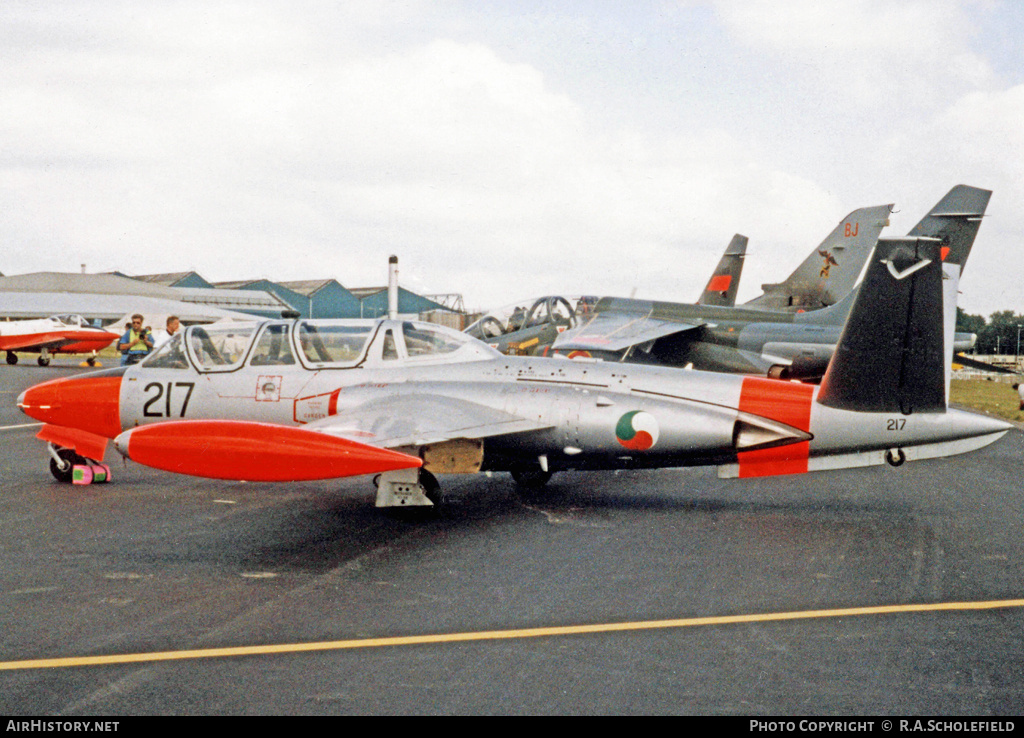 Aircraft Photo of 217 | Fouga CM-170R-2 Magister | Ireland - Air Force | AirHistory.net #60441
