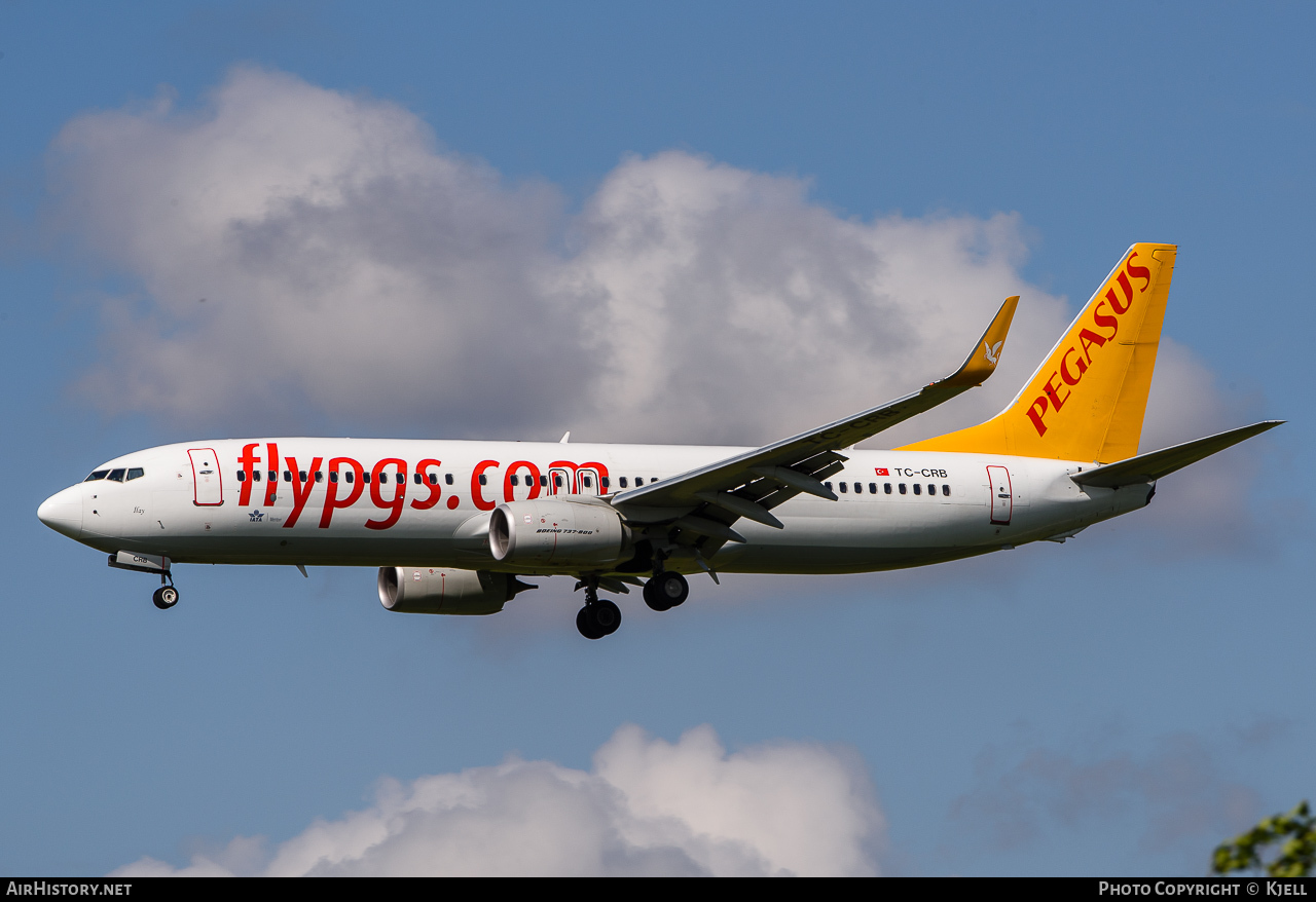Aircraft Photo of TC-CRB | Boeing 737-8AL | Pegasus Airlines | AirHistory.net #61812