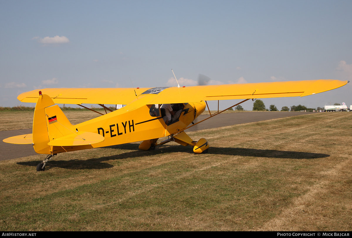 Aircraft Photo of D-ELYH | Piper PA-18-95 Super Cub | AirHistory.net #62224