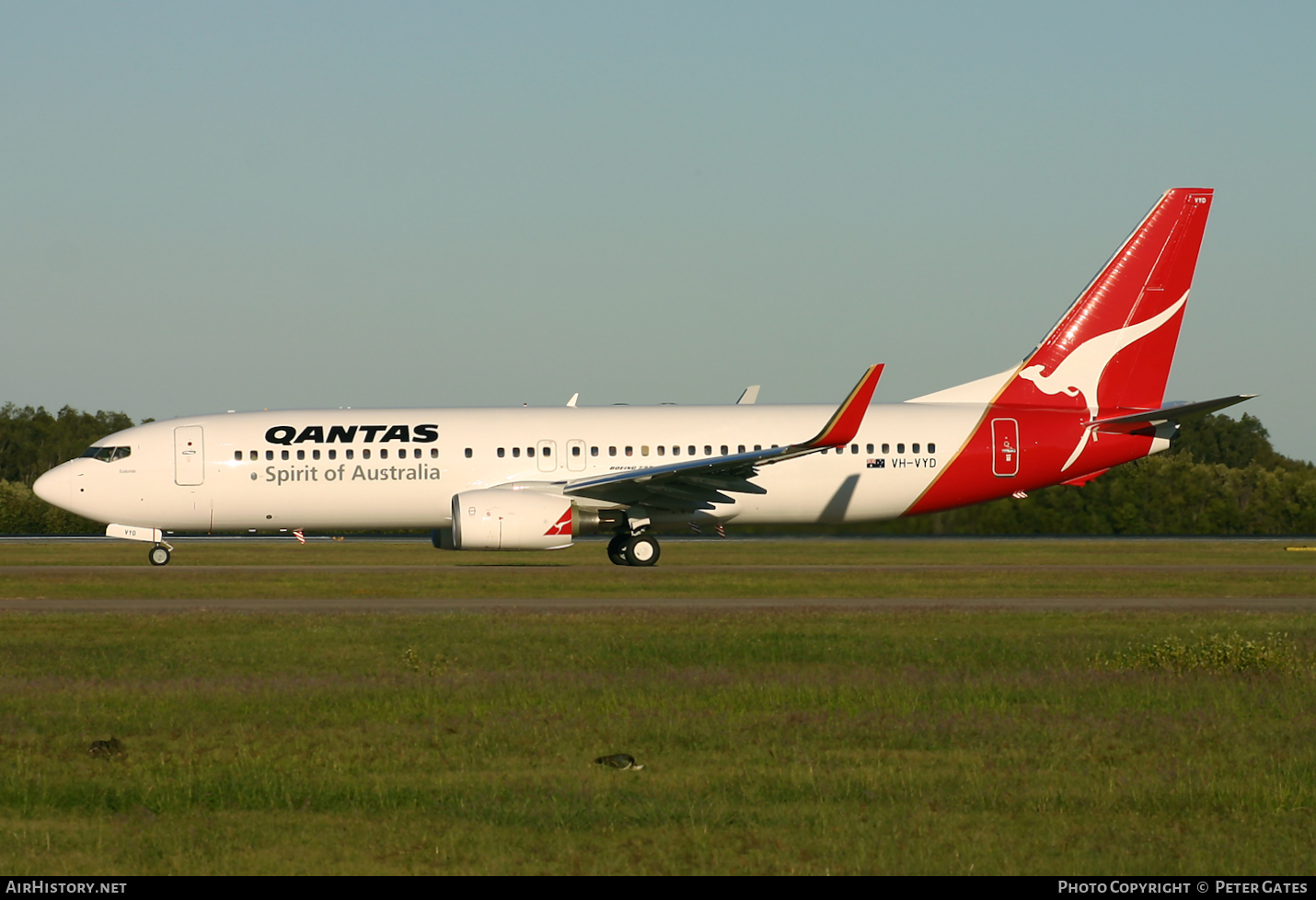 Aircraft Photo of VH-VYD | Boeing 737-838 | Qantas | AirHistory.net #62468