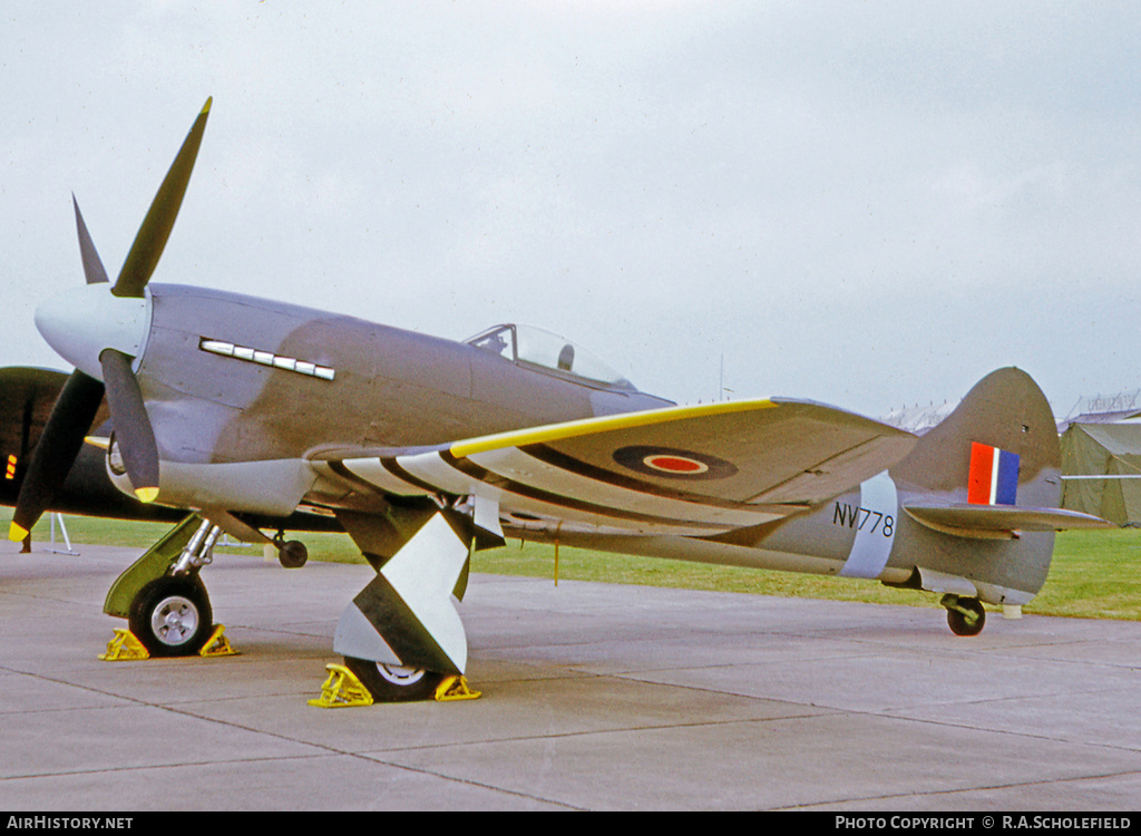 Aircraft Photo of NV778 | Hawker Tempest TT5 | UK - Air Force | AirHistory.net #62590