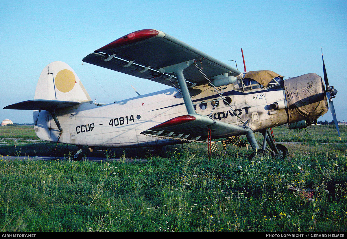 Aircraft Photo of UR-40814 / CCUR-40814 | Antonov An-2 | Aeroflot | AirHistory.net #63114