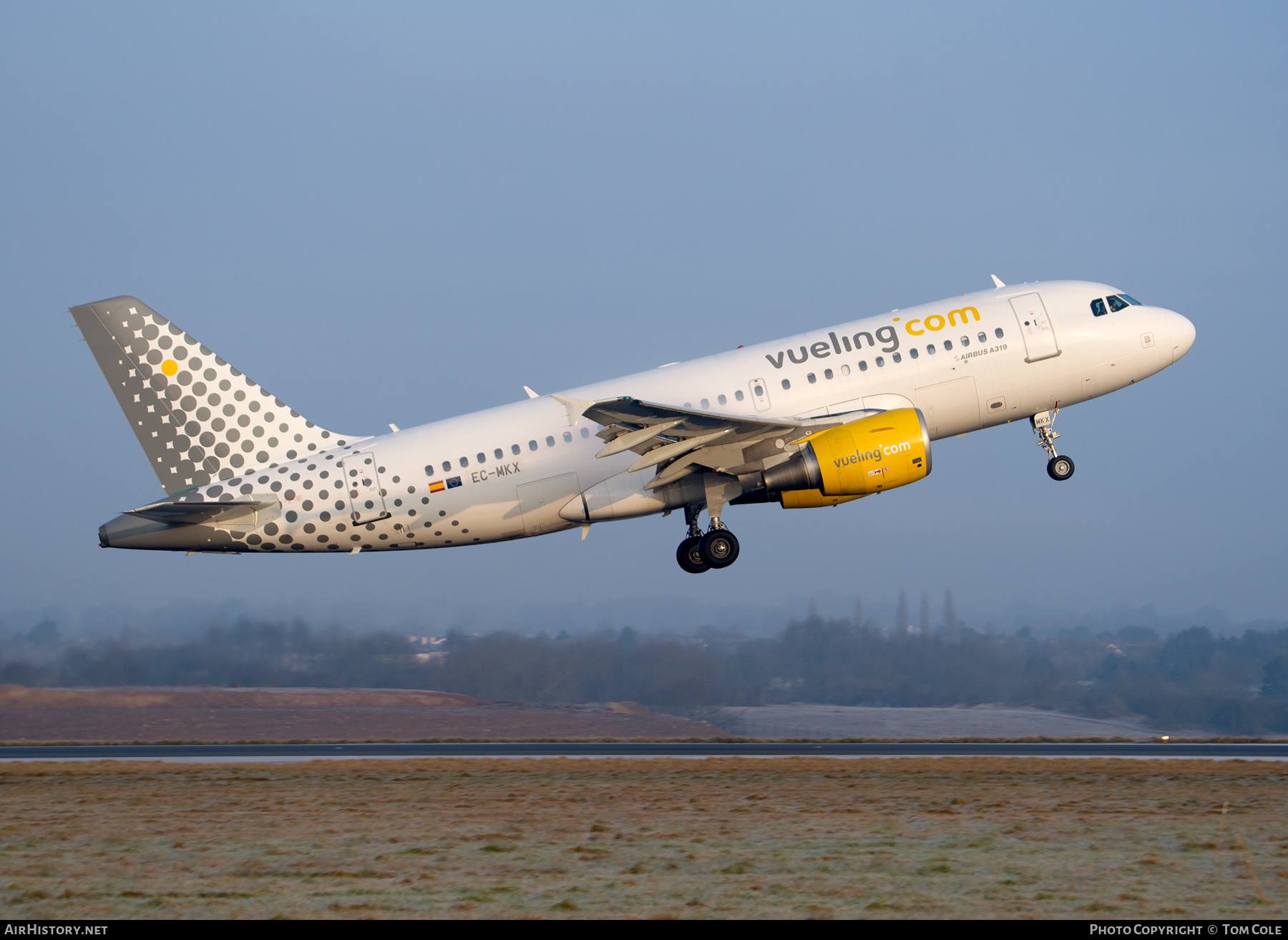 Aircraft Photo of EC-MKX | Airbus A319-111 | Vueling Airlines | AirHistory.net #63696