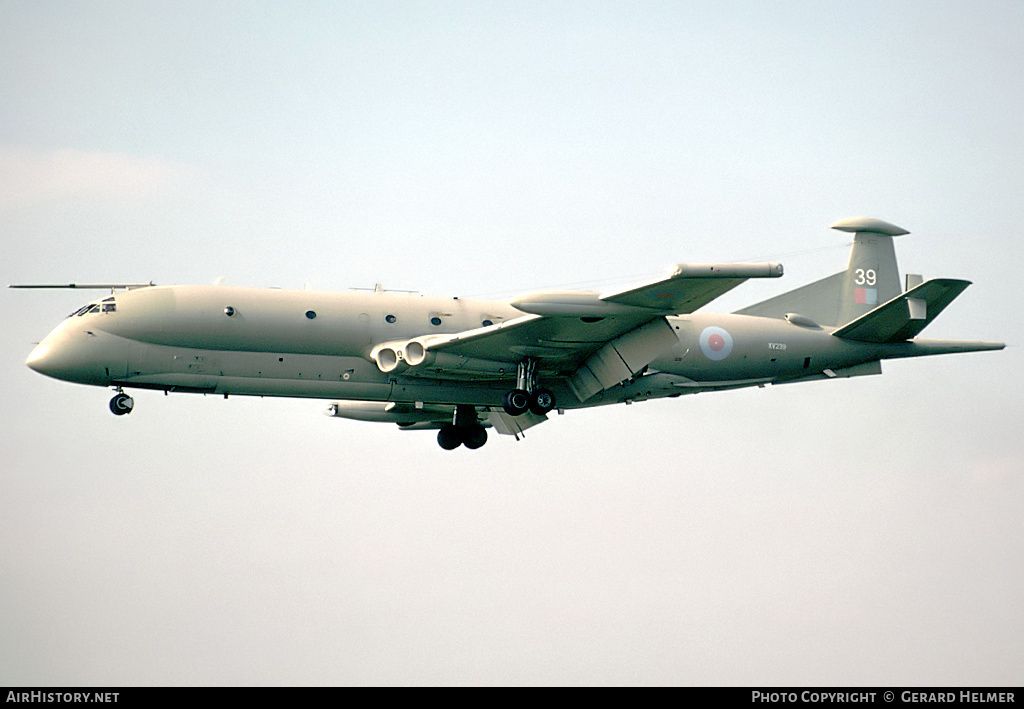 Aircraft Photo of XV239 | Hawker Siddeley HS-801 Nimrod MR.2P | UK - Air Force | AirHistory.net #64906