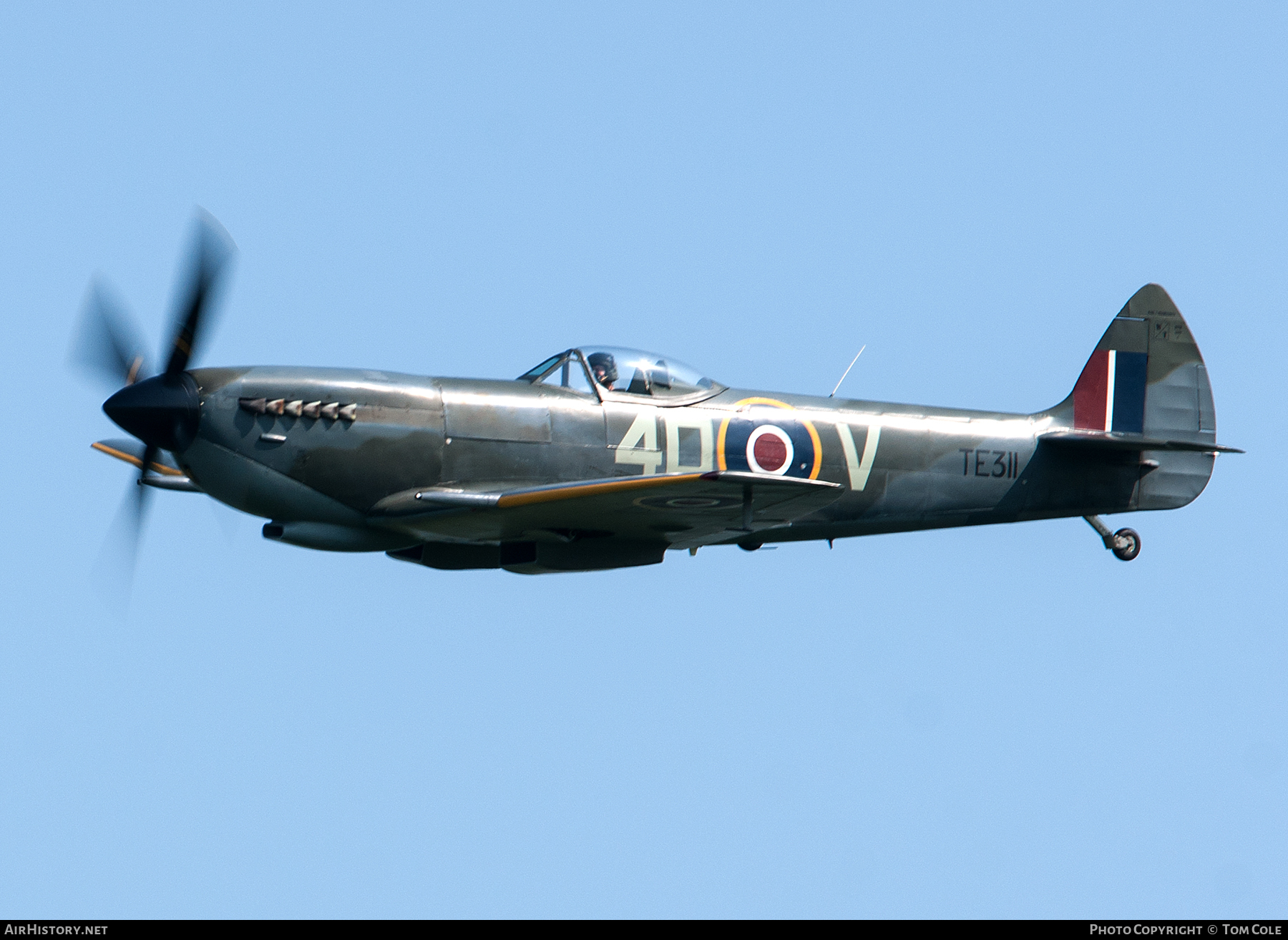 Aircraft Photo of TE311 | Supermarine 361 Spitfire LF16E | UK - Air Force | AirHistory.net #65148