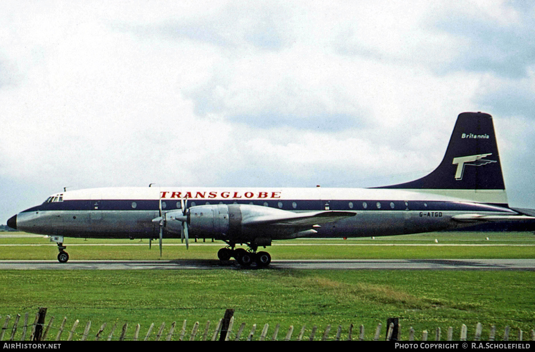 Aircraft Photo of G-ATGD | Bristol 175 Britannia 314 | Transglobe Airways | AirHistory.net #67360