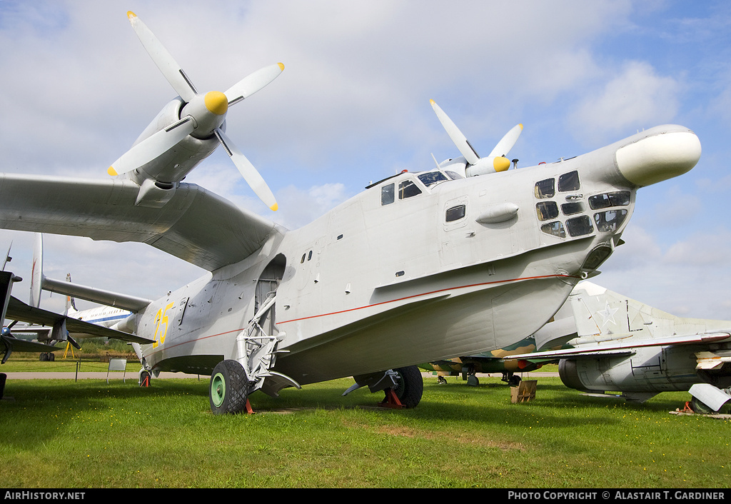 Aircraft Photo of 25 yellow | Beriev Be-12 Chaika | Russia - Navy | AirHistory.net #68006