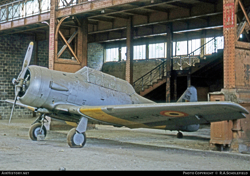 Aircraft Photo of H21 | North American AT-6D Harvard III | Belgium - Air Force | AirHistory.net #69645