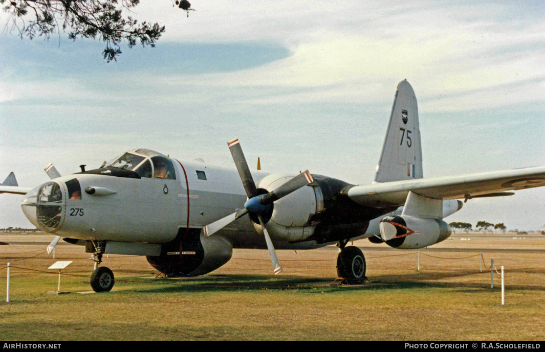 Aircraft Photo of A89-275 | Lockheed SP-2H Neptune MR4 | Australia - Air Force | AirHistory.net #71888