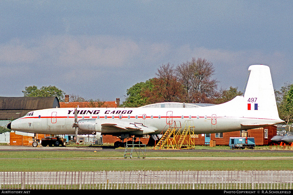 Aircraft Photo of XM497 | Bristol 175 Britannia C.1 (253) | Young Cargo | AirHistory.net #72189