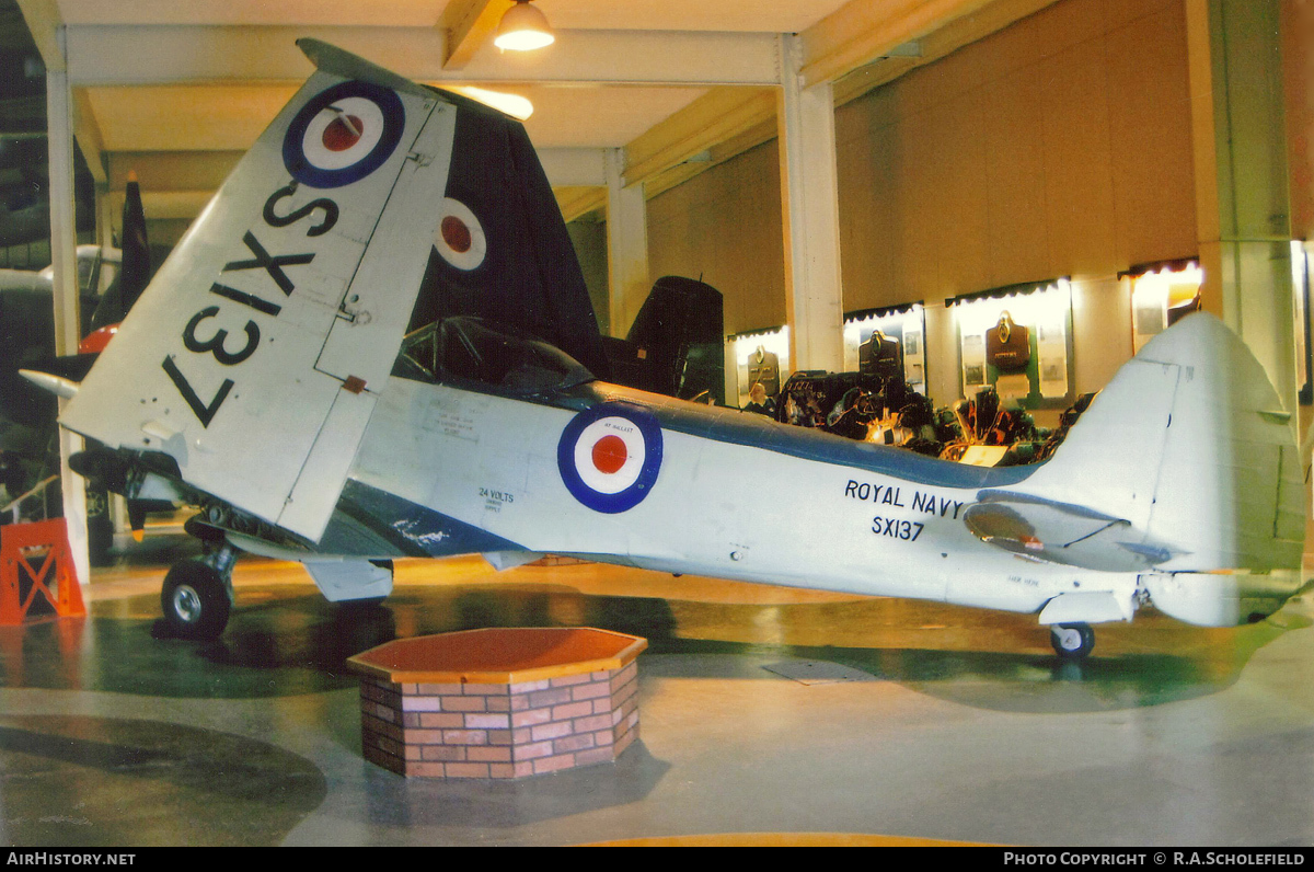 Aircraft Photo of SX137 | Supermarine 395 Seafire F17 | UK - Navy | AirHistory.net #72791