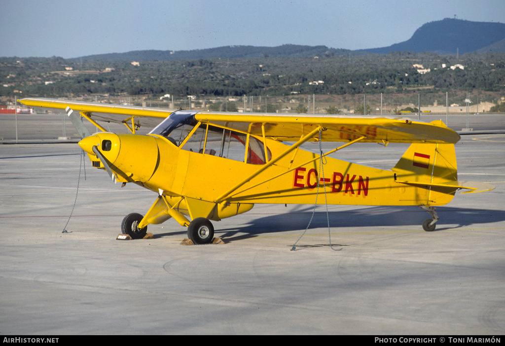 Aircraft Photo of EC-BKN | Piper PA-18-150 Super Cub | AirHistory.net #73496